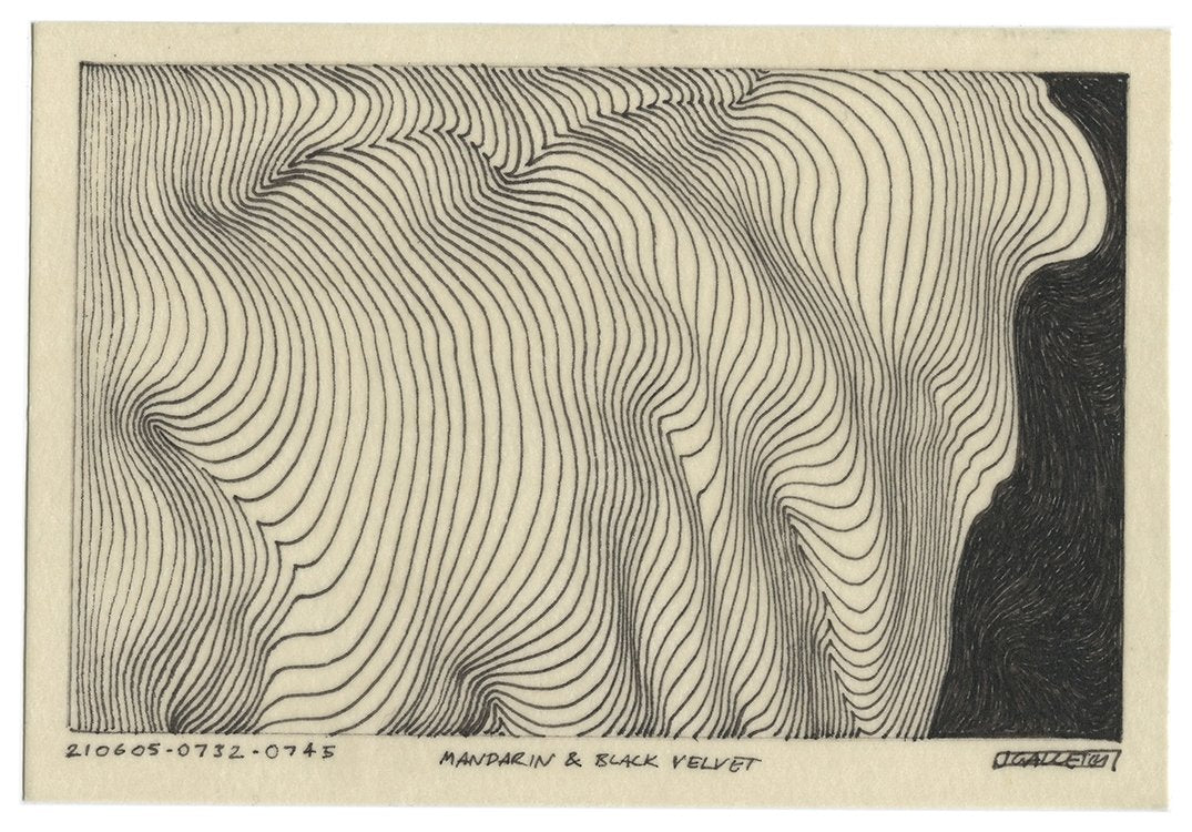 June 2021 - Ink drawings on A5 paper (Digital Downloads)