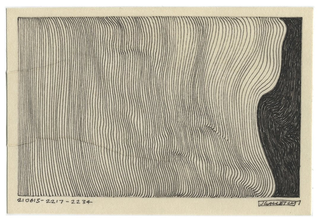 June 2021 - Ink drawings on A5 paper (Digital Downloads)