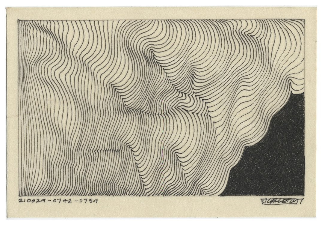 June 2021 - Ink drawings on A5 paper (Digital Downloads)