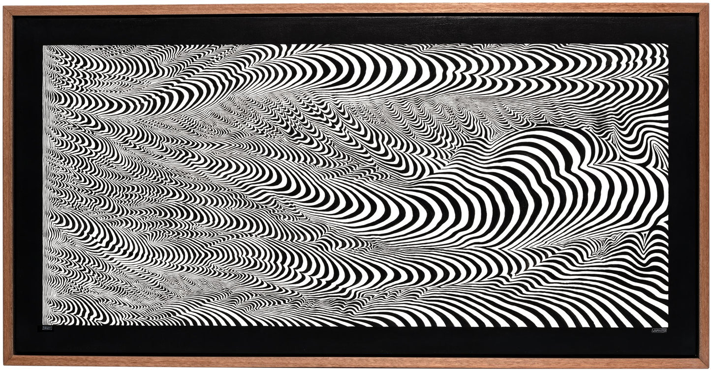 Josh Galletly Art, contemporary black and white line paintings, optical illuson psychedelic energy fields